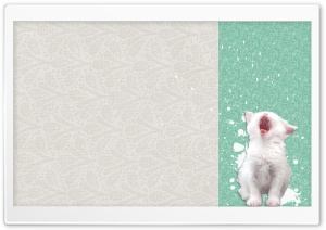 Fluffy White Kitten Ultra HD Wallpaper for 4K UHD Widescreen desktop, tablet & smartphone
