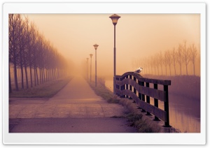 Foggy Fall Day Ultra HD Wallpaper for 4K UHD Widescreen desktop, tablet & smartphone