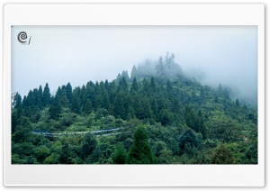 Foggy_mountain Ultra HD Wallpaper for 4K UHD Widescreen desktop, tablet & smartphone