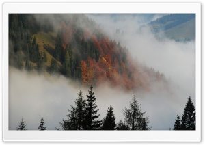 Foggy Mountain Forest Ultra HD Wallpaper for 4K UHD Widescreen desktop, tablet & smartphone