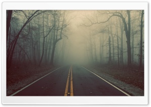 Foggy Road Ultra HD Wallpaper for 4K UHD Widescreen desktop, tablet & smartphone