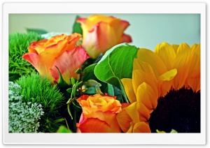 FoMef - 5K - Flowermix Ultra HD Wallpaper for 4K UHD Widescreen desktop, tablet & smartphone
