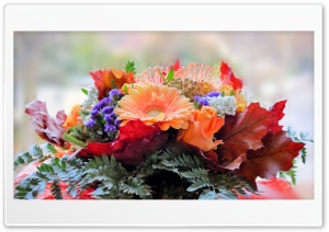 FoMef - Flower Mix 4K Ultra HD Wallpaper for 4K UHD Widescreen desktop, tablet & smartphone