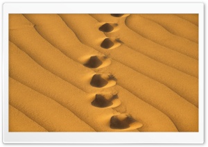 Footprints, Sand, Dunes, Desert Ultra HD Wallpaper for 4K UHD Widescreen desktop, tablet & smartphone