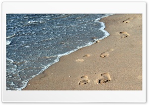 Footsteps In The Sand Ultra HD Wallpaper for 4K UHD Widescreen desktop, tablet & smartphone