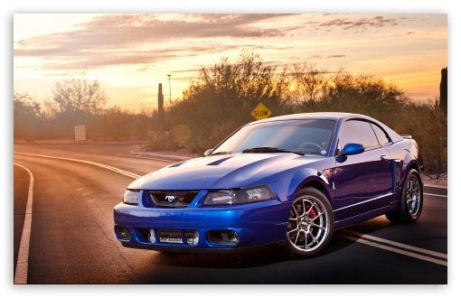 Ford Mustang HD desktop wallpaper 
