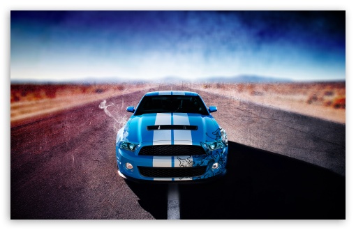 Ford Mustang Shelby GT500 Ultra HD Desktop Background Wallpaper for 4K UHD  TV : Tablet : Smartphone