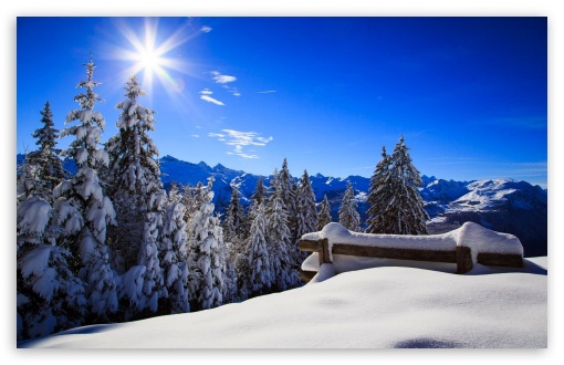 Forest Bench Winter Sun UltraHD Wallpaper for Wide 16:10 5:3 Widescreen WHXGA WQXGA WUXGA WXGA WGA ; 8K UHD TV 16:9 Ultra High Definition 2160p 1440p 1080p 900p 720p ; Mobile 5:3 16:9 - WGA 2160p 1440p 1080p 900p 720p ;
