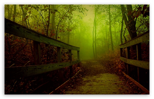 Forest Bridge UltraHD Wallpaper for Wide 16:10 5:3 Widescreen WHXGA WQXGA WUXGA WXGA WGA ; 8K UHD TV 16:9 Ultra High Definition 2160p 1440p 1080p 900p 720p ; UHD 16:9 2160p 1440p 1080p 900p 720p ; Standard 4:3 5:4 3:2 Fullscreen UXGA XGA SVGA QSXGA SXGA DVGA HVGA HQVGA ( Apple PowerBook G4 iPhone 4 3G 3GS iPod Touch ) ; Tablet 1:1 ; iPad 1/2/Mini ; Mobile 4:3 5:3 3:2 16:9 5:4 - UXGA XGA SVGA WGA DVGA HVGA HQVGA ( Apple PowerBook G4 iPhone 4 3G 3GS iPod Touch ) 2160p 1440p 1080p 900p 720p QSXGA SXGA ;