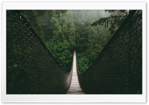 Forest Bridge Ultra HD Wallpaper for 4K UHD Widescreen desktop, tablet & smartphone