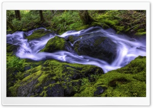 Forest Creek Ultra HD Wallpaper for 4K UHD Widescreen desktop, tablet & smartphone