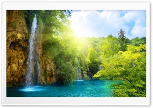 Forest Falls Ultra HD Wallpaper for 4K UHD Widescreen desktop, tablet & smartphone
