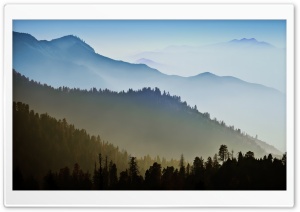 Forest in Morning Ultra HD Wallpaper for 4K UHD Widescreen desktop, tablet & smartphone