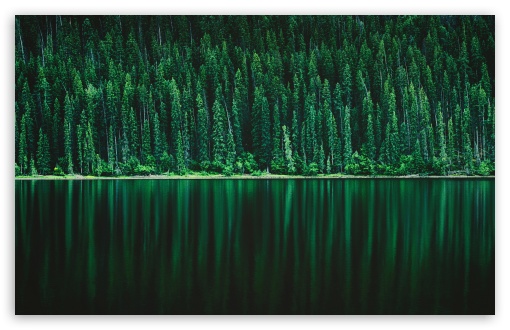 Forest, Lake Ultra HD Desktop Background Wallpaper for 4K UHD TV :  Widescreen & UltraWide Desktop & Laptop : Tablet : Smartphone