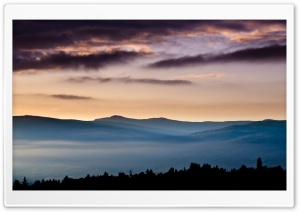 Forest Mist Ultra HD Wallpaper for 4K UHD Widescreen desktop, tablet & smartphone