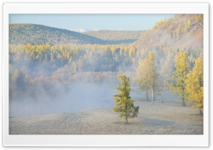 Forest River Fog Ultra HD Wallpaper for 4K UHD Widescreen desktop, tablet & smartphone