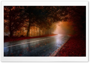 Forest Road Ultra HD Wallpaper for 4K UHD Widescreen desktop, tablet & smartphone
