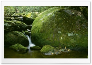 Forest Rocks Ultra HD Wallpaper for 4K UHD Widescreen desktop, tablet & smartphone