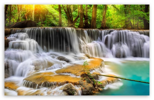 Forest, Trees, River, Rocks, Waterfall Ultra HD Desktop Background Wallpaper  for 4K UHD TV : Widescreen & UltraWide Desktop & Laptop : Tablet :  Smartphone
