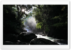 Forest Waterfall Landscape Ultra HD Wallpaper for 4K UHD Widescreen desktop, tablet & smartphone