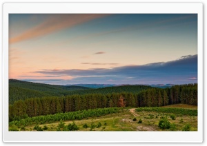 Forested Hills Ultra HD Wallpaper for 4K UHD Widescreen desktop, tablet & smartphone