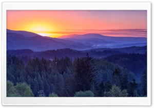 Forested Mountains Scotland Ultra HD Wallpaper for 4K UHD Widescreen desktop, tablet & smartphone
