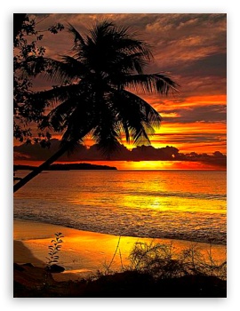 FotoFlexer Beach Photo UltraHD Wallpaper for Mobile 4:3 5:3 3:2 - UXGA XGA SVGA WGA DVGA HVGA HQVGA ( Apple PowerBook G4 iPhone 4 3G 3GS iPod Touch ) ;
