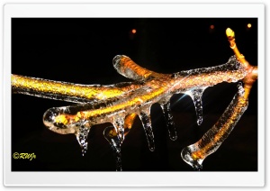 Freezing Rain at Night Ultra HD Wallpaper for 4K UHD Widescreen desktop, tablet & smartphone