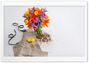 Fresh Cut Flowers Ultra HD Wallpaper for 4K UHD Widescreen desktop, tablet & smartphone