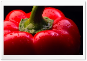 Fresh Red Pepper Close-up Ultra HD Wallpaper for 4K UHD Widescreen desktop, tablet & smartphone