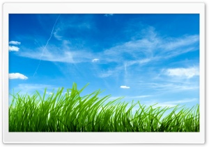 Freshness Ultra HD Wallpaper for 4K UHD Widescreen desktop, tablet & smartphone
