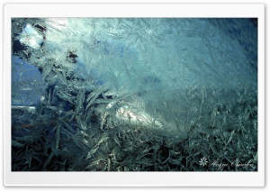 Frozen Ultra HD Wallpaper for 4K UHD Widescreen desktop, tablet & smartphone