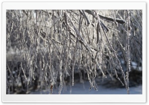 Frozen Nature Ultra HD Wallpaper for 4K UHD Widescreen desktop, tablet & smartphone