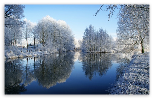      frozen_trees_reflect