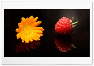 Fruits Minimalist Black Background Ultra HD Wallpaper for 4K UHD Widescreen desktop, tablet & smartphone
