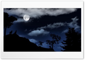Full moon over the forest Ultra HD Wallpaper for 4K UHD Widescreen desktop, tablet & smartphone