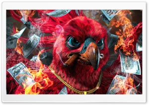 Funny Chicken Ultra HD Wallpaper for 4K UHD Widescreen desktop, tablet & smartphone