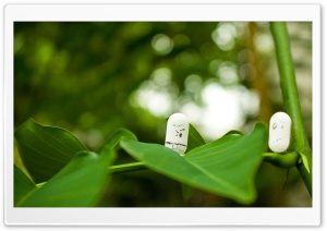 Funny Pills Ultra HD Wallpaper for 4K UHD Widescreen desktop, tablet & smartphone