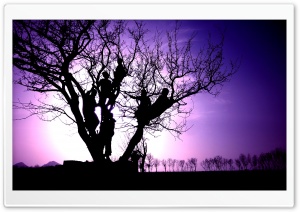 Future Fruits Ultra HD Wallpaper for 4K UHD Widescreen desktop, tablet & smartphone