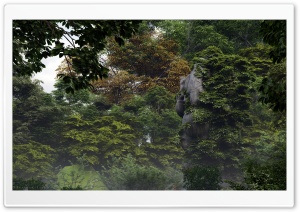 Ganesha in lost Forest Ultra HD Wallpaper for 4K UHD Widescreen desktop, tablet & smartphone