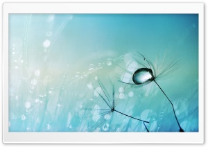 Ghosts Of Winter Ultra HD Wallpaper for 4K UHD Widescreen desktop, tablet & smartphone