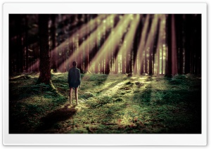Girl in the Forest Ultra HD Wallpaper for 4K UHD Widescreen desktop, tablet & smartphone