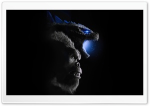 Godzilla x Kong The New Empire 2024 Movie Ultra HD Wallpaper for 4K UHD Widescreen desktop, tablet & smartphone