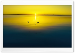 Gold Sunset Ultra HD Wallpaper for 4K UHD Widescreen desktop, tablet & smartphone