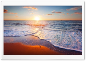 Golden Beach Ultra HD Wallpaper for 4K UHD Widescreen desktop, tablet & smartphone