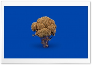Golden Broccoli Ultra HD Wallpaper for 4K UHD Widescreen desktop, tablet & smartphone