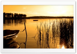 Golden Sunset Ultra HD Wallpaper for 4K UHD Widescreen desktop, tablet & smartphone