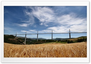 Golden Wheat Growing In A Farm Field Ultra HD Wallpaper for 4K UHD Widescreen desktop, tablet & smartphone