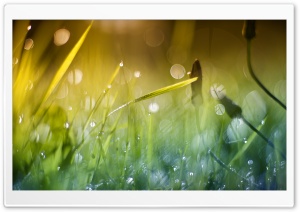 Good Morning Sunshine Ultra HD Wallpaper for 4K UHD Widescreen desktop, tablet & smartphone