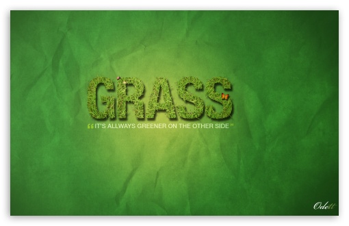 Grass is Always Greener on the other side UltraHD Wallpaper for Wide 16:10 5:3 Widescreen WHXGA WQXGA WUXGA WXGA WGA ; 8K UHD TV 16:9 Ultra High Definition 2160p 1440p 1080p 900p 720p ; Mobile 5:3 16:9 - WGA 2160p 1440p 1080p 900p 720p ;